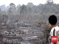 Titik Panas Turun, BNPB Klaim Kualitas Udara Membaik