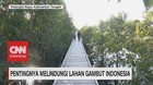 VIDEO: Pentingnya Melindungi Lahan Gambut Indonesia
