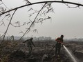 Hutan yang Terbakar di Semeru Mencapai 198 Hektare