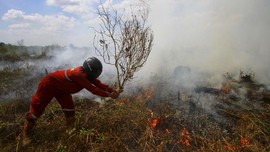 BMKG Catat Ribuan Titik Panas Turun Drastis