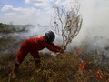 BMKG Catat Ribuan Titik Panas Turun Drastis
