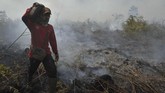 Beragam usaha pun dilakukan untuk memadamkan titik api. (ANTARA FOTO/Wahdi Septiawan)