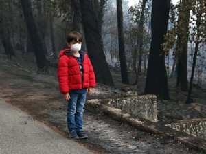Kabut Asap Selimuti Aceh, Warga Diimbau Pakai Masker-Hindari Bakar Sampah