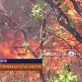 Dari Demo Mahasiswa Hingga Penanganan Kebakaran Hutan Amazon
