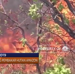 Dari Demo Mahasiswa Hingga Penanganan Kebakaran Hutan Amazon