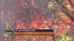 Dari Demo Mahasiswa Hingga Penanganan Kebakaran Hutan Amazon