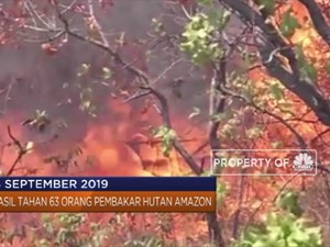 Dari Demo Mahasiswa Hingga Penanganan Kebakaran Hutan Amazon