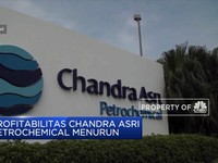 H1-2019, Laba Bersih Chandra Asri Petrochemical Anjlok 71%