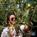 Rahasia Panjang Umur Orang Jepang, Lakukan Satu Hobi Ini