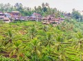 Wisata ke Persawahan Indah Kaya Sejarah di Tegalalang