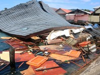 Korban Tewas Gempa Maluku M 6,5 Capai 23 Orang
