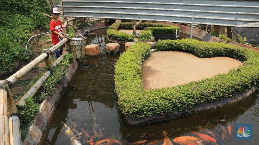 Desa ini sukses sulap lahan pertaniannya menjadi destinasi wisata dengan optimalkan peran BUMDes
