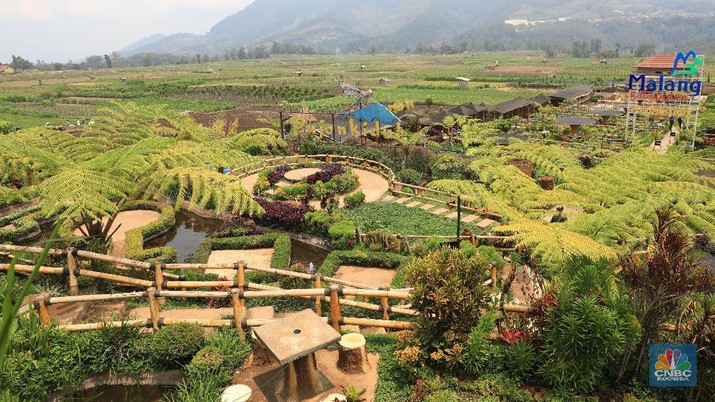 Lokasi wisata Pujon Kidul di Pujon, Kabupaten Malang, Jawa Timur, (CNBC Indonesia/Muhammad Sabki) Kepala Otoritas Jasa keuangan (OJK) Perwakilan Malang Sugiarto Kasmuri (kedua kanan) dan Kepala Bagian Hubungan Media dan Masyarakat OJK Dody Ardiansyah (kanan) meninjau pengelolaan Badan Usaha Milik Desa (BUMDes) Pujon Kidul di Pujon, Kabupaten Malang, Jawa Timur, Kamis (26/9/2019). OJK mendorong optimalisasi peran BUMDes untuk meningkatkan kesejahteraan masyarakat desa melalui program Layanan Keuangan Tanpa Kantor Dalam Rangka Keuangan Inklusif (Laku Pandai) yang hingga Triwulan II 2019 jumlah nasabahnya mencapai 3.611 orang dengan jumlah pembiayaan mikro yang disalurkan mencapai Rp49,07 miliar. Keberhasilan Desa Pujon Kidul, Kecamatan Pujon, Kabupaten Malang dalam mengelola dana desa mendapat acungan jempol dari berbagai kalangan. Dana desa yang digunakan untuk mendirikan Badan Usaha Milik Desa (BUMDes), telah berhasil menyulap desa ini menjadi lokasi wisata yang menyedot ribuan pengunjung setiap harinya. Desa Wisata Pujon Kidul memiliki ragam wahana menarik dengan nuansa asri perdesaan, seperti cafe sawah, panen hasil pertanian, memerah susu sapi, kolam renang untuk anak-anak, off road, hingga wisata berkuda. Desa Wisata ini juga memiliki banyak spot selfie yang sangat menarik. Wisatawan yang berkunjung pun tak sedikit jumlahnya, rata-rata 3.000 pengunjung saat hari kerja dan 5.000 pengunjung saat hari libur. Luas Desa Pujon Kidul 330 Hektare. Tanaman masyarakat kita jadikan wisata petik apel, wisata petik sayur, sehingga hasil pertanian warga juga menjadi mahal harganya. (CNBC Indonesia/Muhammad Sabki)