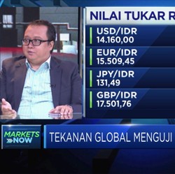 Rupiah Kurang Bergairah, Jadi PR Pemerintah