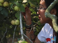 Rahasia Panjang Umur Orang Jepang, Coba Lakukan Hobi Ini