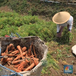 Musim Hujan, Awas Harga Sembako 'Beterbangan'!