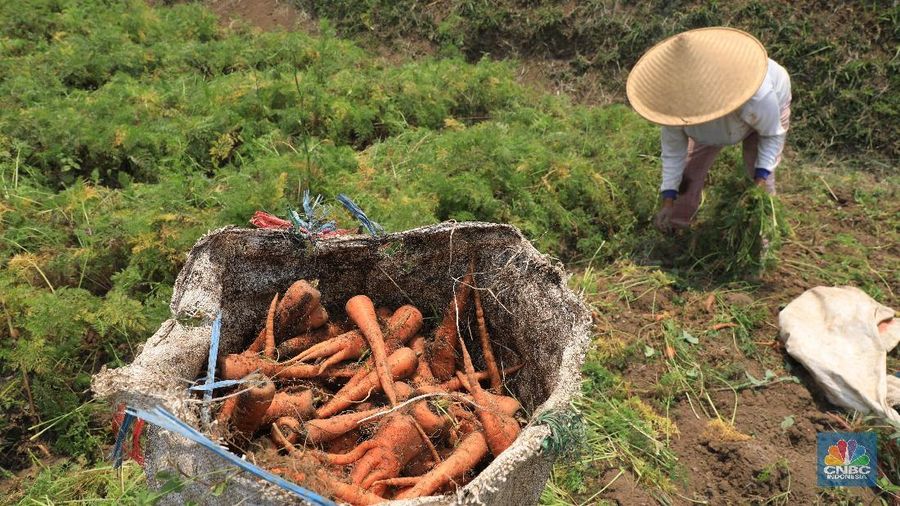 Desa ini sukses sulap lahan pertaniannya menjadi destinasi wisata dengan optimalkan peran BUMDes