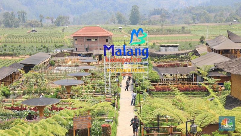 Desa ini sukses sulap lahan pertaniannya menjadi destinasi wisata dengan optimalkan peran BUMDes