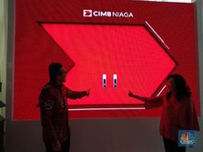 Siap-siap! CIMB Niaga Akan Tebar Dividen Rp 2,87 Triliun