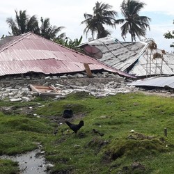 Korban Tewas Gempa Ambon 30 Orang, 244.780 Orang Mengungsi