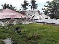 Korban Tewas Gempa Ambon 30 Orang, 244.780 Orang Mengungsi