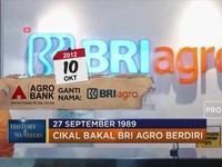 Jejak Berdirinya BRI Agro