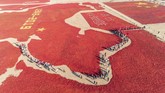 Orang-orang berjalan di antara gambar peta China dan juga bendera nasional yang dibentuk oleh bubuk cabai kering di Zhangye, China. Paa petani merayakan 70 tahun berdirinya Republik Rakyat China. (Photo by STR / AFP)