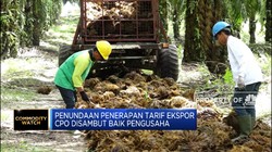 Pemerintah Tunda Penerapan Pungutan Ekspor Sawit