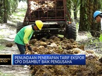 Pemerintah Tunda Penerapan Pungutan Ekspor Sawit