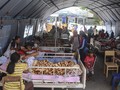 Tanggap Darurat Berakhir, Biaya RS Korban Gempa Dipertanyakan