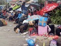 Jokowi Minta Warga Tak Mengungsi dari Wamena