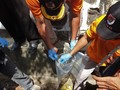 Pengacara 2 Mahasiswa Tewas Kendari Sebut Polisi Bertele-tele