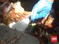 BEM Halu Oleo Klaim Temukan 2 Selongsong Peluru