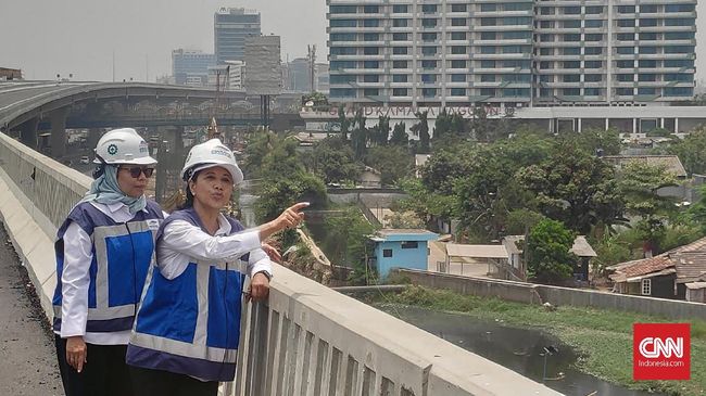 Menteri Rini: Oktober, Uji Beban Tol Layang Jakarta-Cikampek