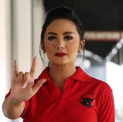 Ini 4 Artis yang Jadi Wajah Baru di DPR 2019-2024