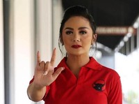 Ini 4 Artis yang Jadi Wajah Baru di DPR 2019-2024