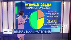 Mengenal Saham Multibagger