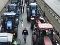Petani Belanda Demo Bawa Traktor, Lalu Lintas Macet Total