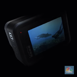 Resmi Dirilis, Ini Spesifikasi & Harga GoPro Hero 8