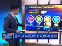 Sektor Tambang RI Kurang Seksi