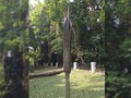 Bunga Bangkai Raksasa akan Mekar di Kebun Raya Bogor