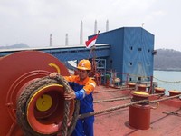 PLN Beli Kapal Bekas Rp 151 M Buat Angkut Batu Bara