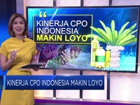 Kinerja CPO Indonesia Makin Loyo