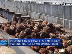 Gejolak Harga CPO, Fitch Sebut Produsen Sawit Asia Tertekan