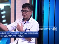 RI Kembangkan Nuklir 40 Tahun, Ini Harapan Eks Bos BATAN