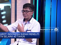 RI Kembangkan Nuklir 40 Tahun, Ini Harapan Eks Bos BATAN