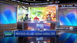 Harga CPO Terus Tertekan, Ini Rekomendasi Analis