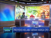 Harga CPO Terus Tertekan, Ini Rekomendasi Analis