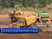 Jelang Deadline Divestasi, Vale Tunggu Pemerintah