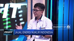 BATAN : Pembangunan PLTN Harus Transparansi & Aman